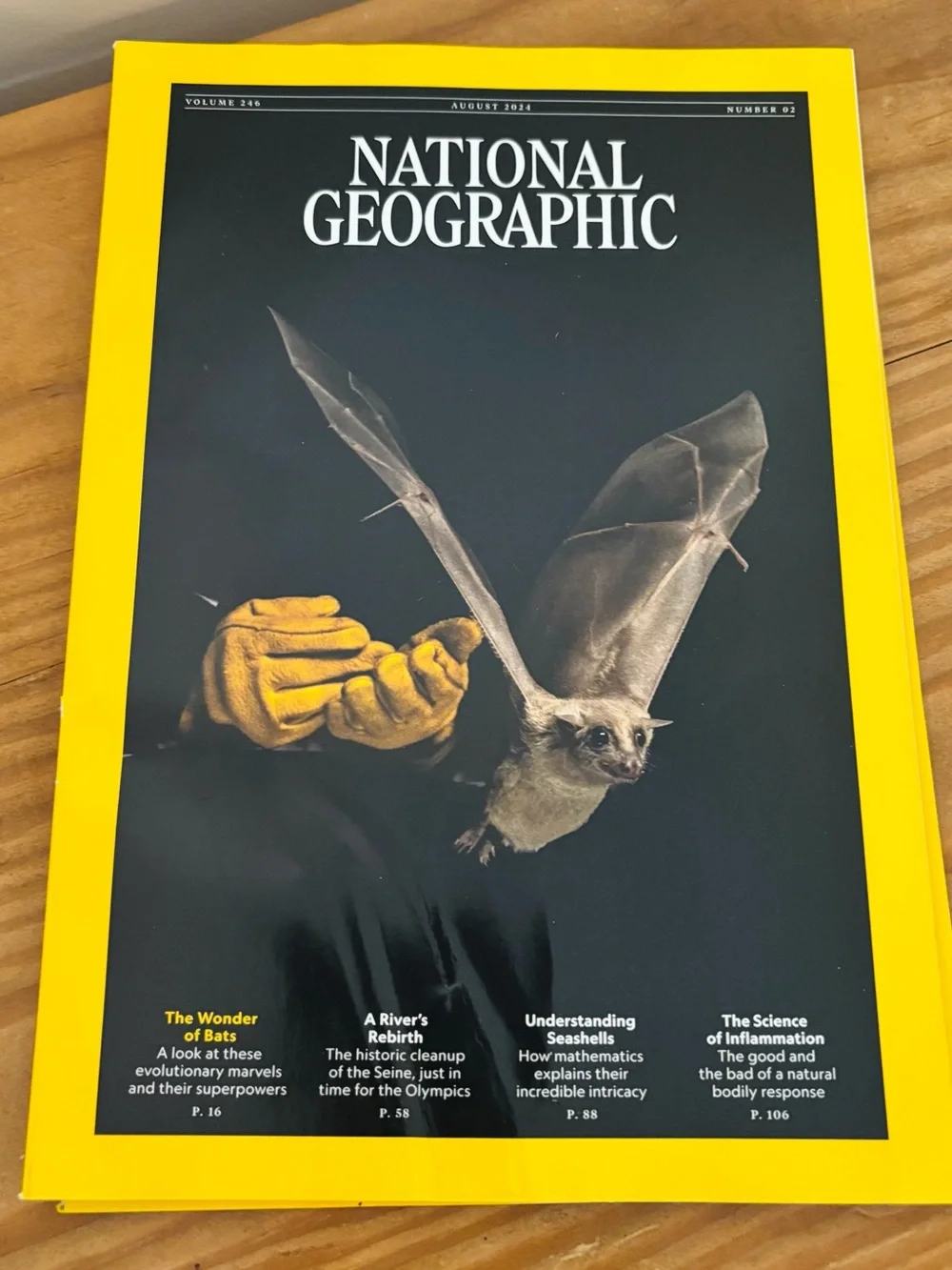 💥 2024 National Geographic Set: March, April, May, June, July, August, October